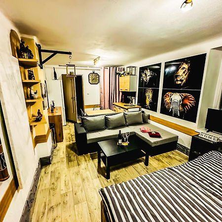 Apartman Pod Hradem Horšovský Týn Buitenkant foto
